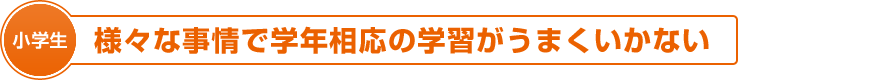 小学生：様々な事情で学年相応の学習がうまくいかない