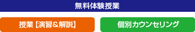 無料体験授業：授業【演習＆解説】/個別カウンセリング